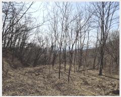  2025Ÿ��5201 ��� ����� ȣ��� ������ 153      ����(��)���