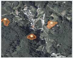  2025Ÿ��5201 ��� ����� ȣ��� ������ 153      ����(��)���