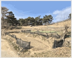  2025Ÿ��5201 ��� ����� ȣ��� ������ 153      ����(��)���