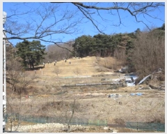  2025Ÿ��5201 ��� ����� ȣ��� ������ 153      ����(��)���