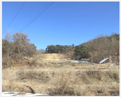  2025Ÿ��5201 ��� ����� ȣ��� ������ 153      ����(��)���