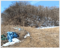  2025Ÿ��5225 ��� ���ֽ� ȭ���� �ǰ ��88      ����(�Ӿ�)���