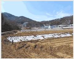  2025Ÿ��5225 ��� ���ֽ� ȭ���� �ǰ ��88      ����(�Ӿ�)���