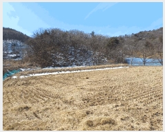  2025Ÿ��5225 ��� ���ֽ� ȭ���� �ǰ ��88      ����(�Ӿ�)���