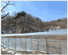  2025Ÿ��5225 ��� ���ֽ� ȭ���� �ǰ ��88      ����(�Ӿ�)���