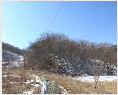  2025Ÿ��5225 ��� ���ֽ� ȭ���� �ǰ ��88      ����(�Ӿ�)���