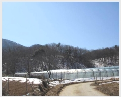  2025Ÿ��5225 ��� ���ֽ� ȭ���� �ǰ ��88      ����(�Ӿ�)���