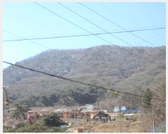  2025Ÿ��5232 ��� ����� ������ ���ʸ� ��68      ����(�Ӿ�)���