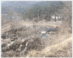  2025Ÿ��5246  �������