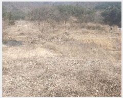  2025Ÿ��5246  �������