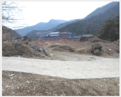  2025Ÿ��5246  �������