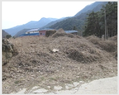  2025Ÿ��5246  �������