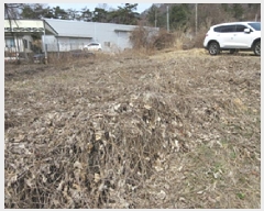  2025Ÿ��5246  �������