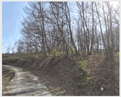  2025Ÿ��5268  �Ӿ߰��