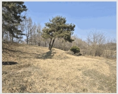  2025Ÿ��5268  �Ӿ߰��