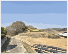  2025Ÿ��5268  �Ӿ߰��