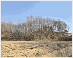  2025Ÿ��5268  �Ӿ߰��