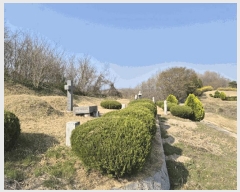  2025Ÿ��5268  �Ӿ߰��