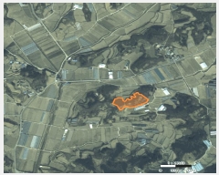  2025Ÿ��5268  �Ӿ߰��