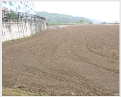  2025Ÿ��5296 ��� ���ֽ� �ܴ䵿 271       ����(��1)���