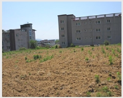  2025Ÿ��5312 ��� ��õ�� ��õ�� ��ɸ� 456-5      ����(��1)���