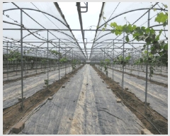  2025Ÿ��5314  ����