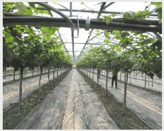  2025Ÿ��5314  ����