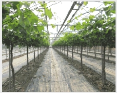  2025Ÿ��5314  ����