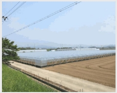  2025Ÿ��5314  ����