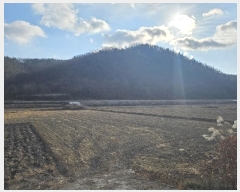  2025Ÿ18 뱸   θ 17-1      (Ӿ)