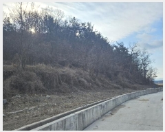  2025Ÿ18 뱸   θ 17-1      (Ӿ)