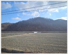  2025Ÿ18 뱸   θ 17-1      (Ӿ)