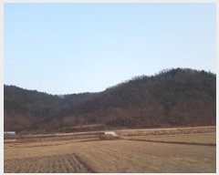  2025Ÿ18 뱸   θ 17-1      (Ӿ)