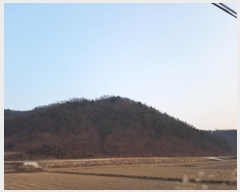  2025Ÿ18 뱸   θ 17-1      (Ӿ)