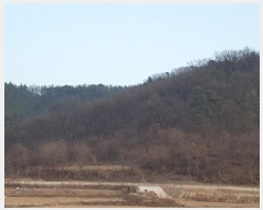  2025Ÿ18 뱸   θ 17-1      (Ӿ)