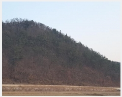  2025Ÿ18 뱸   θ 17-1      (Ӿ)