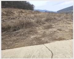  2025Ÿ��117 �뱸 ������ ȿ�ɸ� ���ø� 294      ����(��1)���