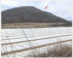  2025Ÿ��117 �뱸 ������ ȿ�ɸ� ���ø� 294      ����(��1)���