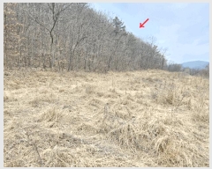  2025Ÿ��117 �뱸 ������ ȿ�ɸ� ���ø� 294      ����(��1)���