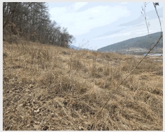  2025Ÿ��117 �뱸 ������ ȿ�ɸ� ���ø� 294      ����(��1)���