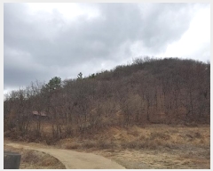  2025Ÿ��117 �뱸 ������ ȿ�ɸ� ���ø� 294      ����(��1)���