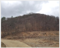  2025Ÿ��117 �뱸 ������ ȿ�ɸ� ���ø� 294      ����(��1)���