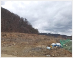  2025Ÿ��117 �뱸 ������ ȿ�ɸ� ���ø� 294      ����(��1)���