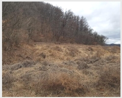  2025Ÿ��117 �뱸 ������ ȿ�ɸ� ���ø� 294      ����(��1)���