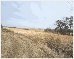  2025Ÿ��131 ��� �Ǽ��� �ܺϸ� �뿬�� 334-1      ����(��1)���