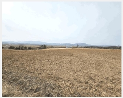  2025Ÿ��131 ��� �Ǽ��� �ܺϸ� �뿬�� 334-1      ����(��1)���