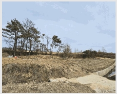  2025Ÿ��131 ��� �Ǽ��� �ܺϸ� �뿬�� 334-1      ����(��1)���
