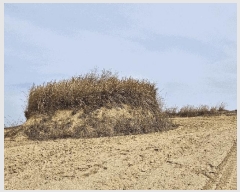  2025Ÿ��131 ��� �Ǽ��� �ܺϸ� �뿬�� 334-1      ����(��1)���