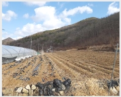  2025Ÿ��155 ��� �Ǽ��� ����� ������ 90      ����(��1)���