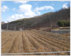  2025Ÿ��155 ��� �Ǽ��� ����� ������ 90      ����(��1)���